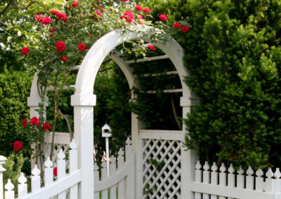 Arbor garden covered with bright red roses.