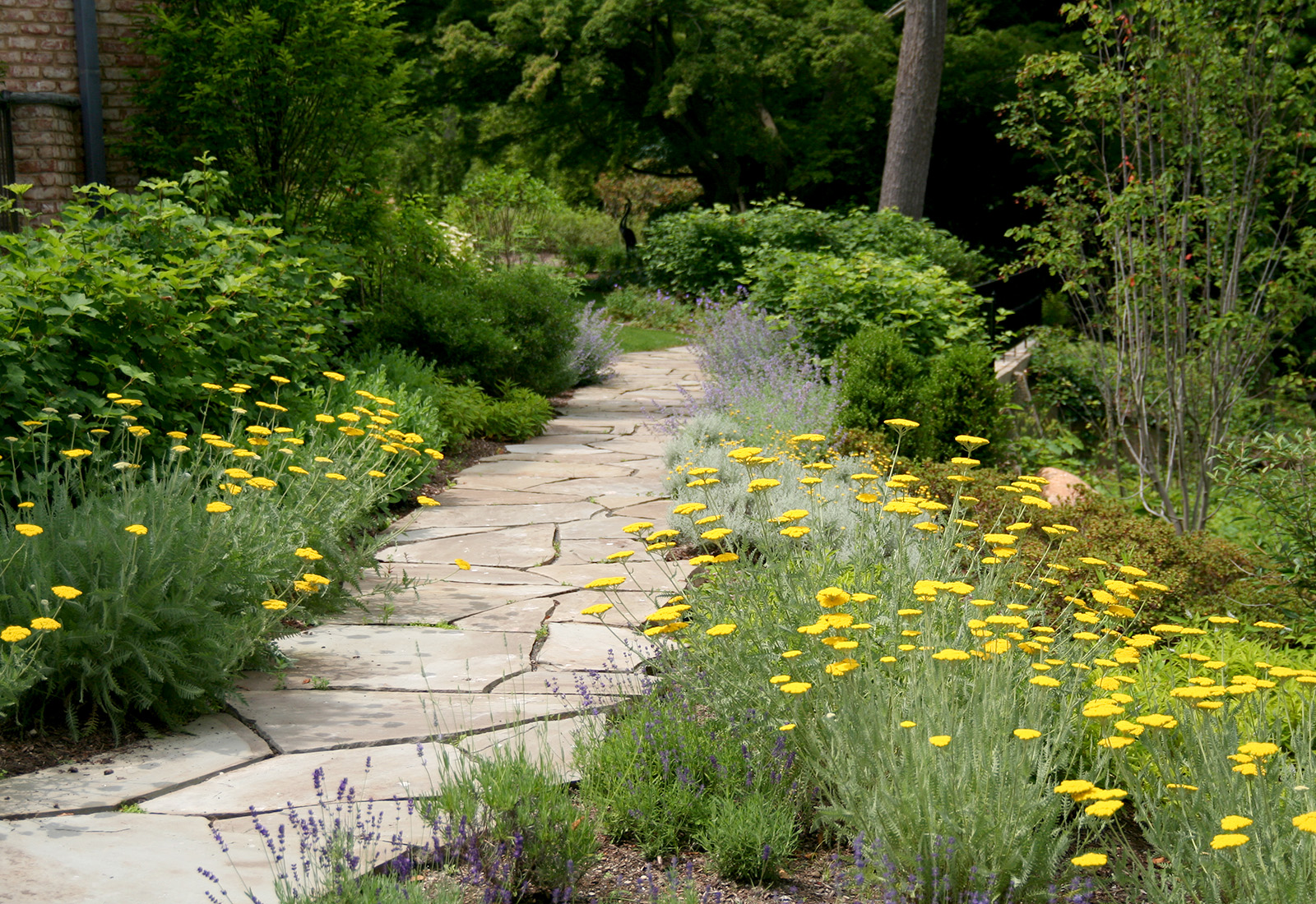 Irregular bluestone garden path through a sea of perennials.