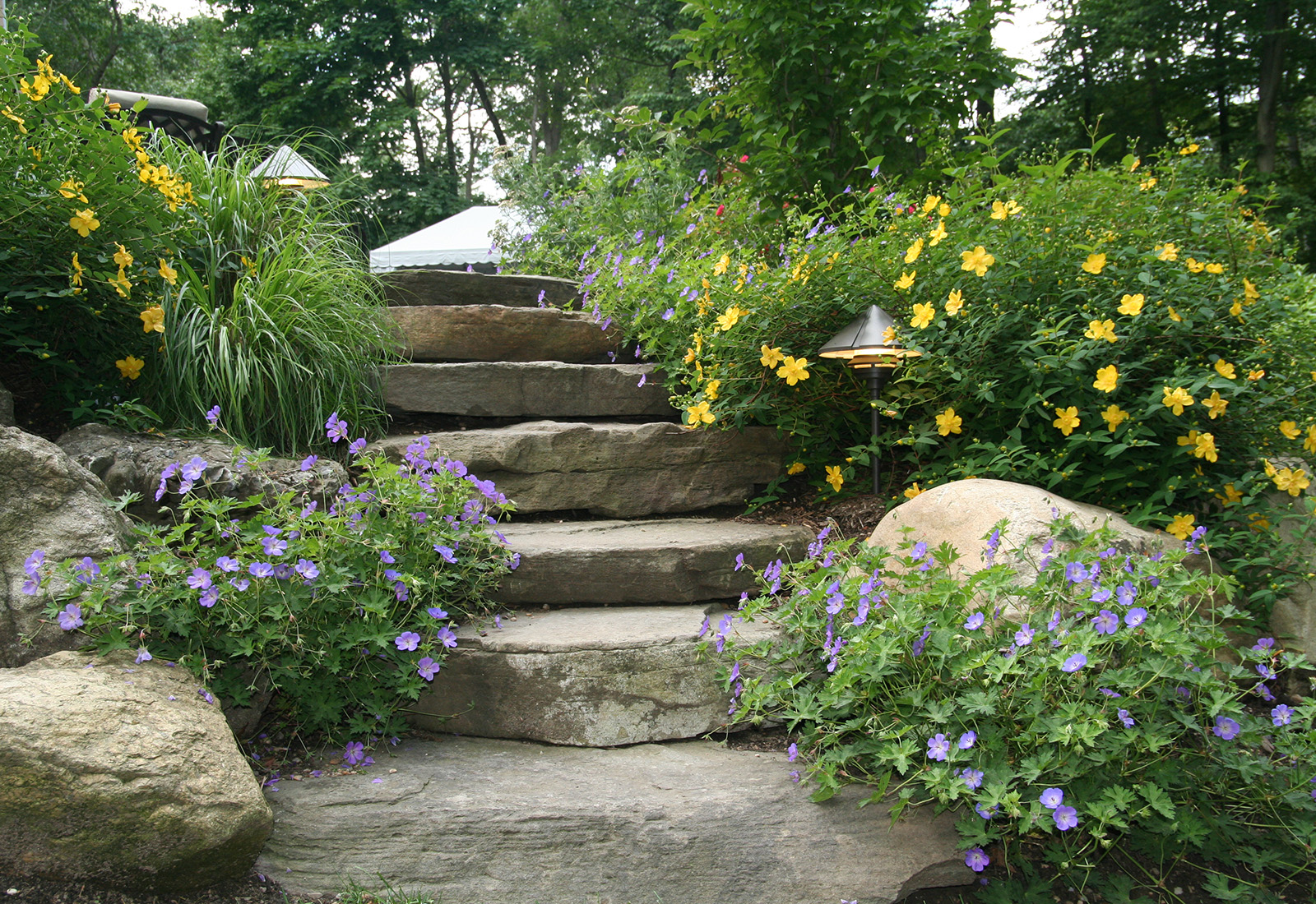 Stone garden steps and boulder retaining wall planted with flowering perennials.