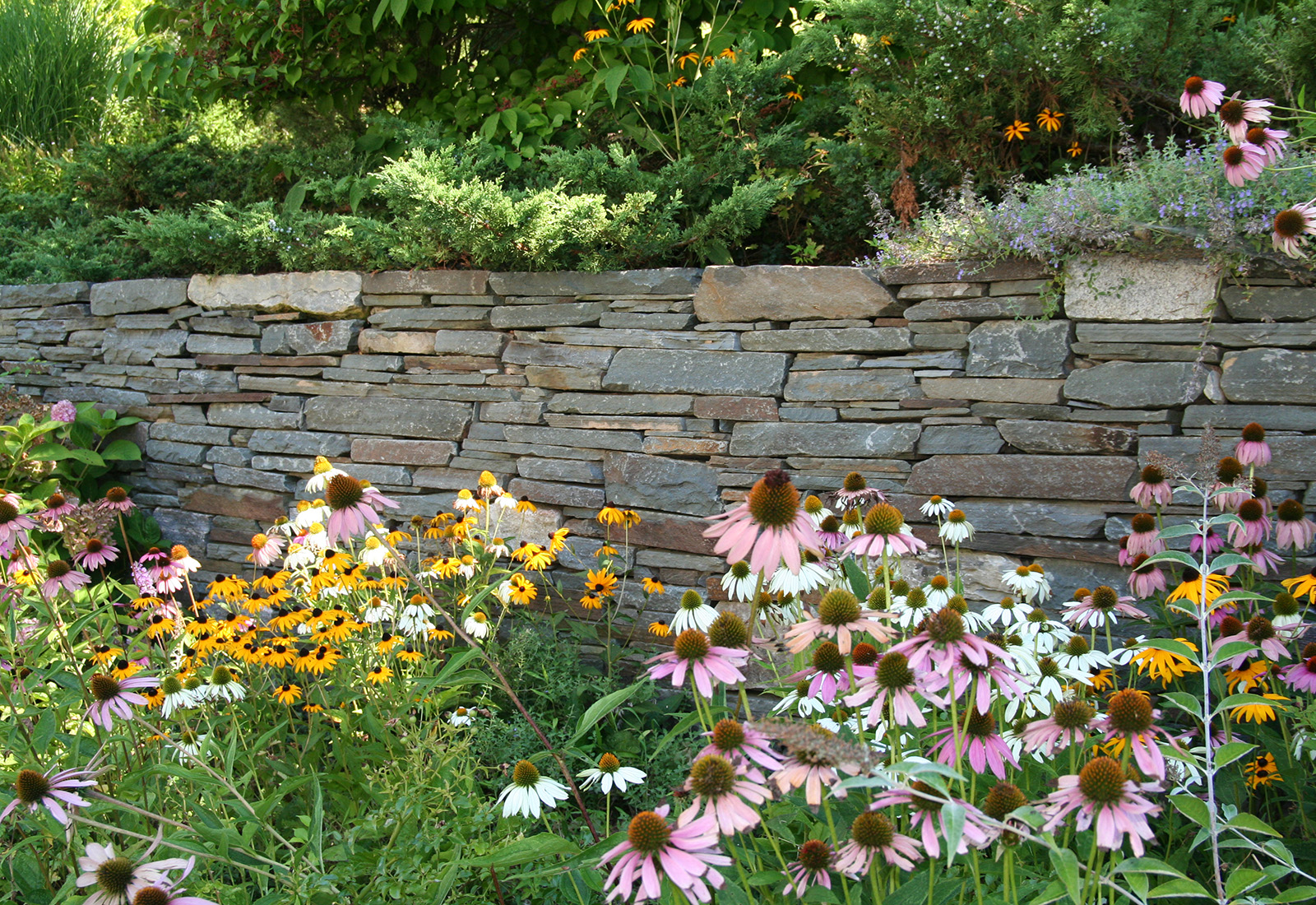 Stacked stone retaining wall and perennial garden.
