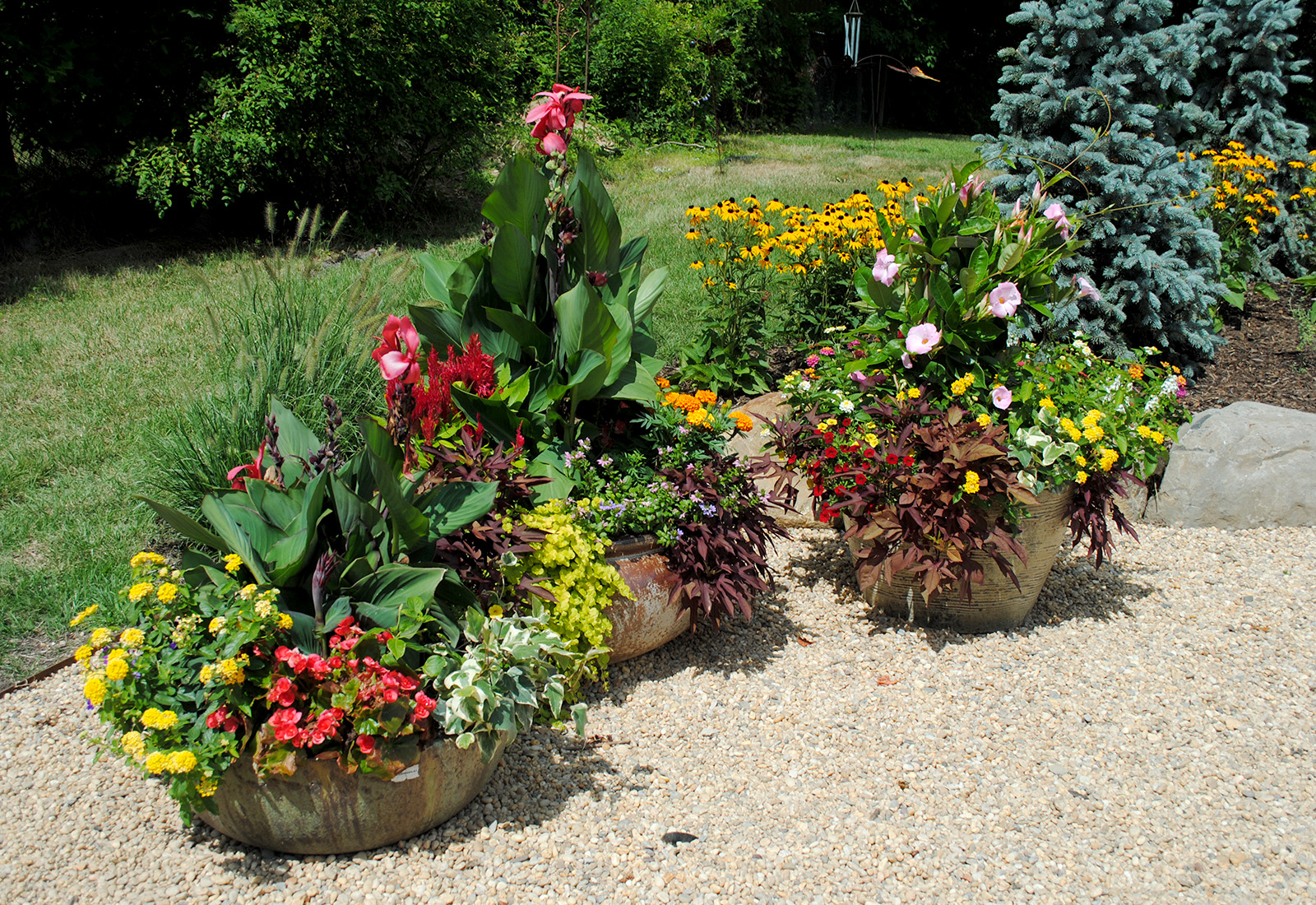 Summer flowering mixed patio planters.