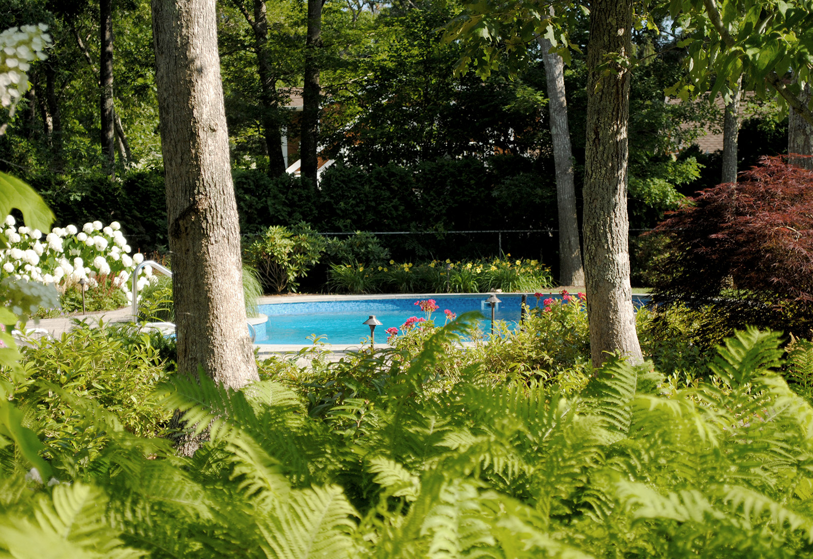 Natural, scenic planting around a pool.