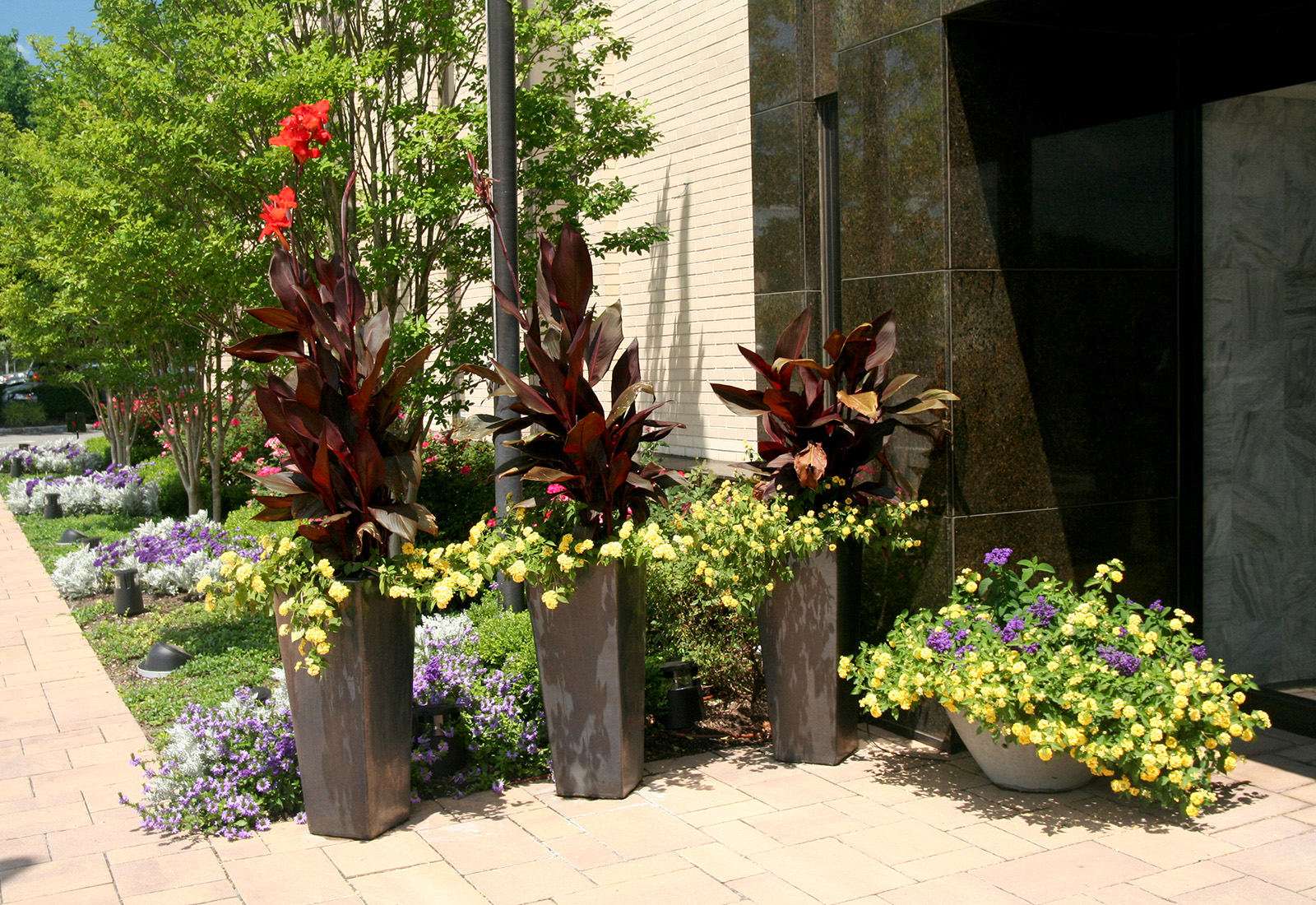 Modern mixed planters for summer color in a commercial setting.