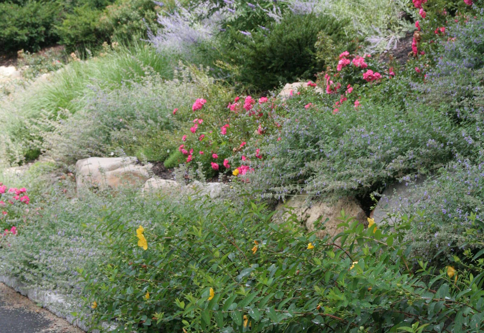 Perennial Border Garden