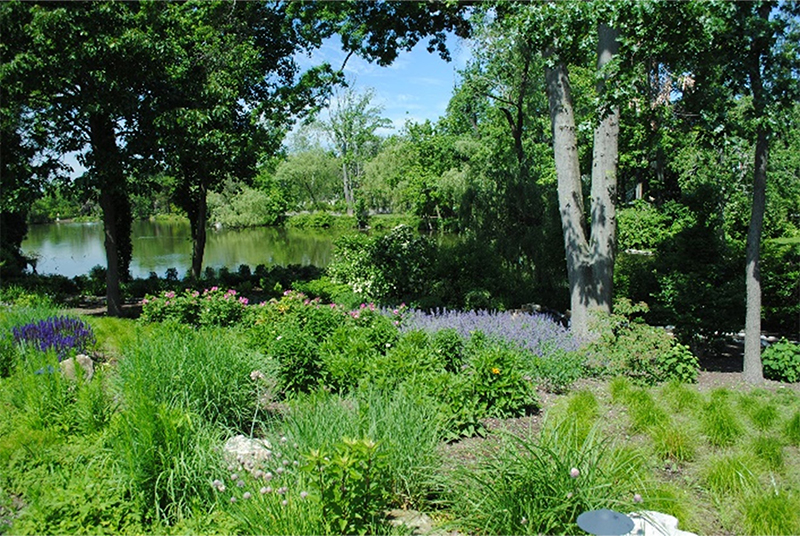View of Green Garden Pond