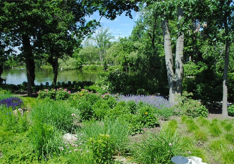 Hick Landscapes Back Yard Design A Garden by the Pond