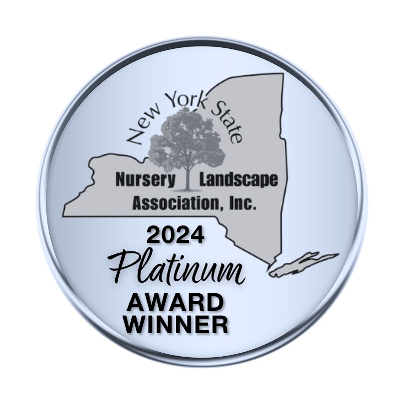 Best of the North Shore Winner 2017 Logo