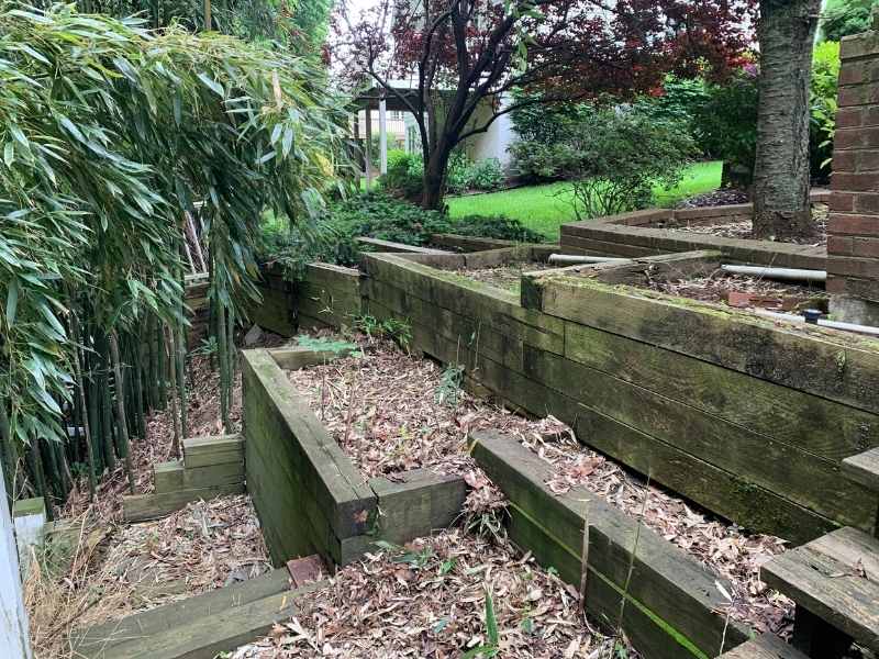 Terraced wooden garden beds on a sloped yard, with dry leaves covering the soil. There are green shrubs, bamboo, and a tree nearby, with a grassy lawn and house in the background.