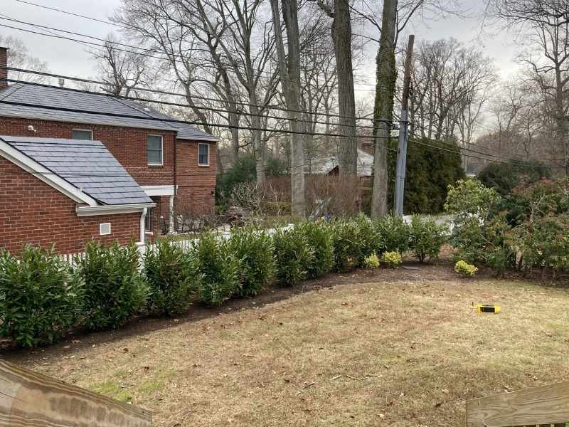 A backyard with a patchy lawn, bordered by a row of green bushes. Behind the yard is a quiet street, leafless trees, and a red brick house with a gray roof. A yellow object lies on the grass.